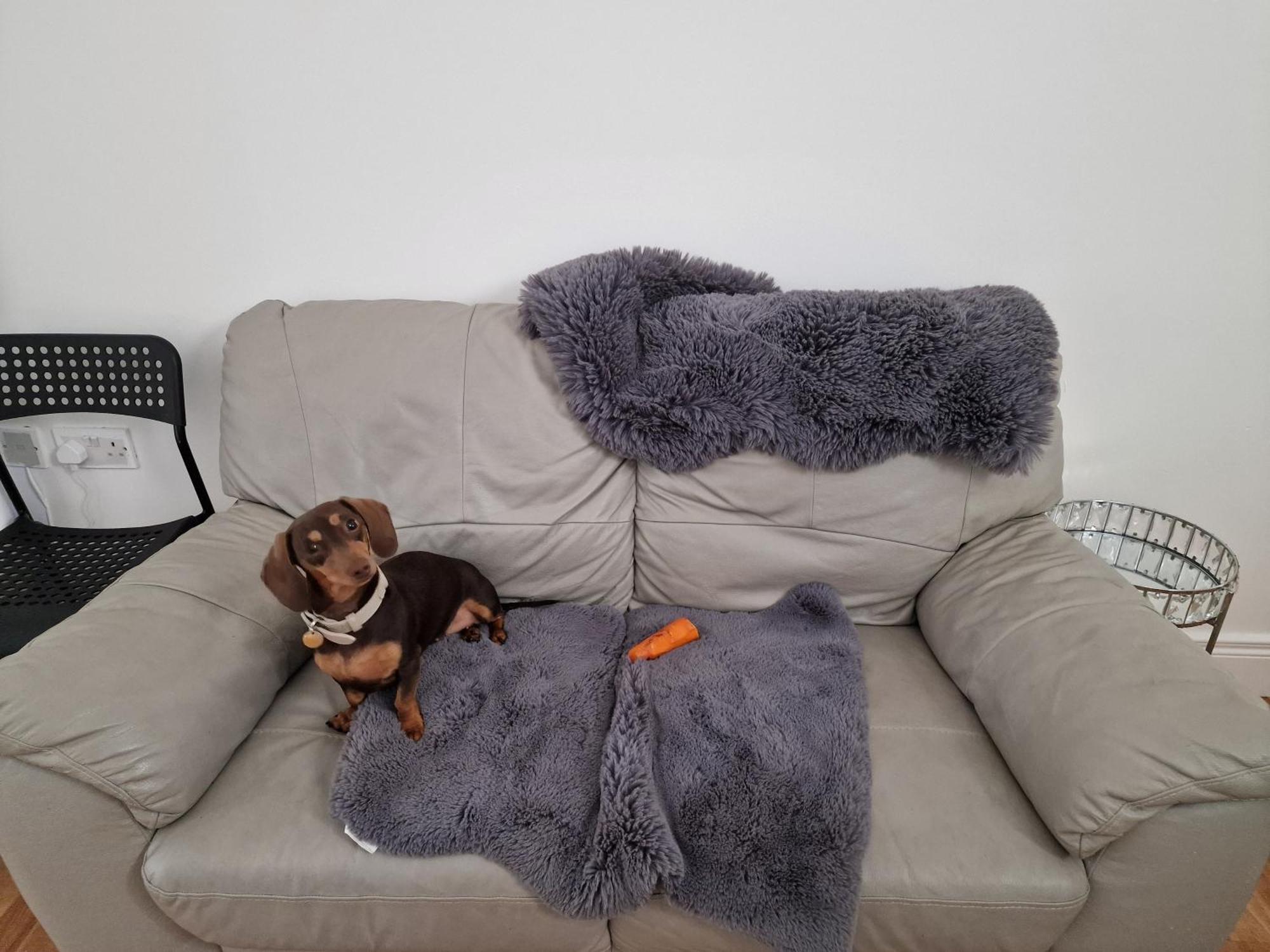 Aunty Katie'S House, Ni Tourist Board Certified & Located On The Main Oldpark Road To Belfast, With Free Continental Breakfast & Free Ultra Fast Sky Internet, Free Sky Sports & Free Sky Cinema, Self-Check In After 10Pm Gmt Hostel Eksteriør bilde